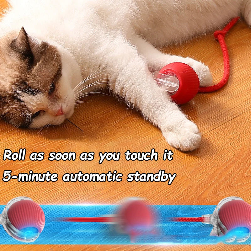 Kitty Hunter
